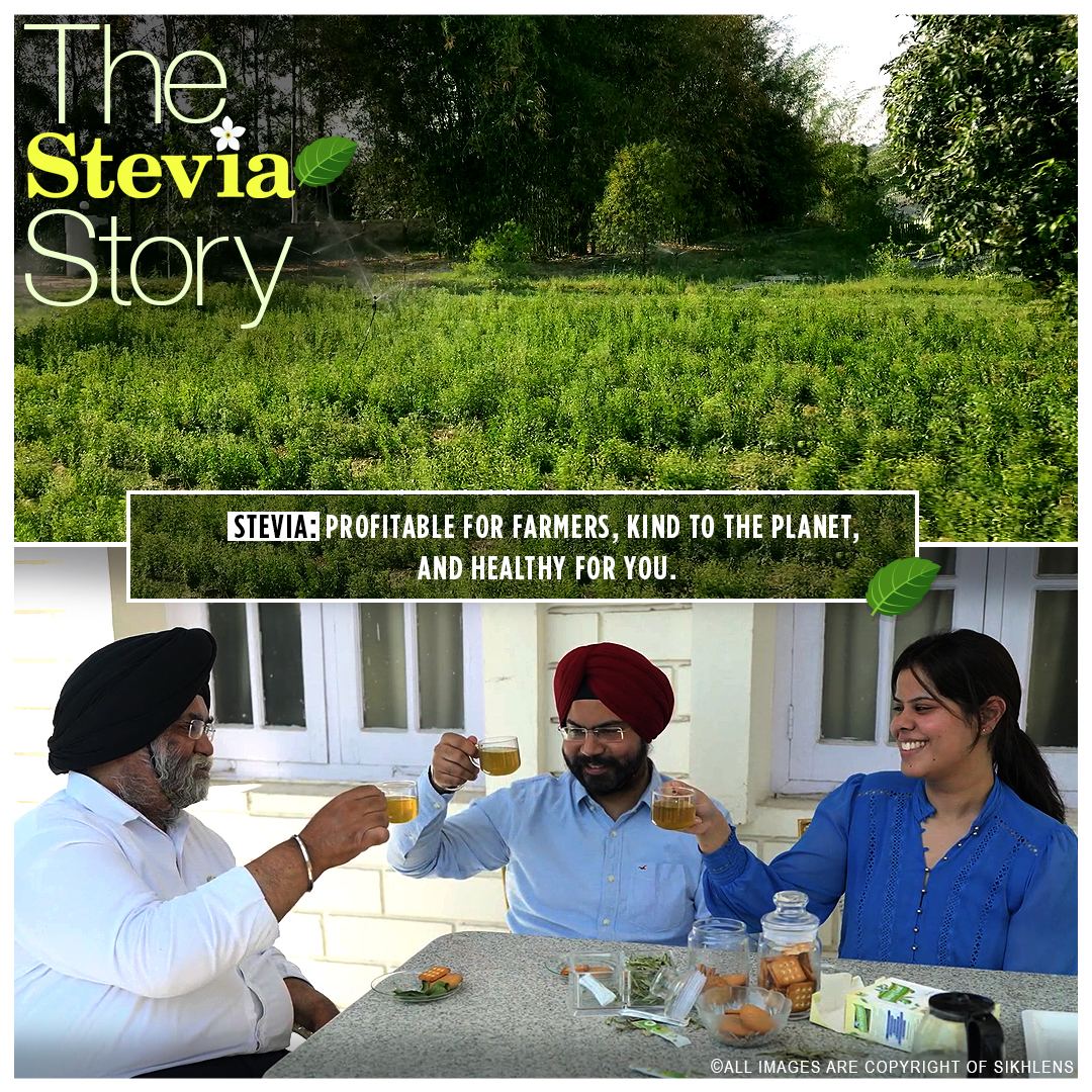 The Stevia Story